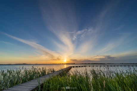 Knuppelpad Dannemeer