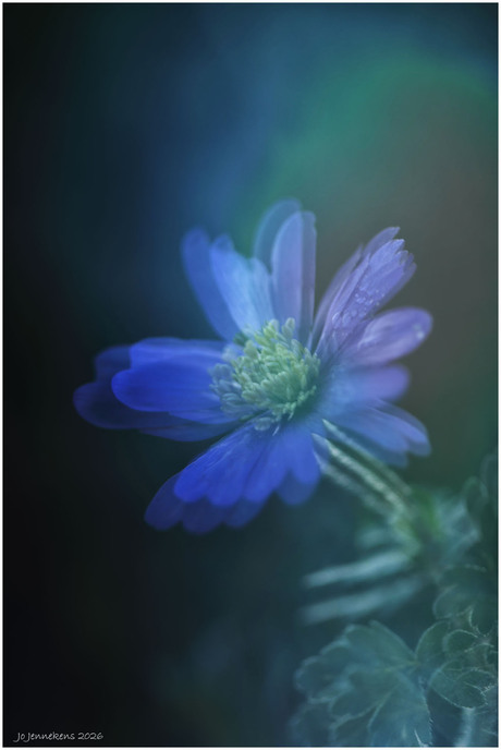 Experimentele fotografie 3