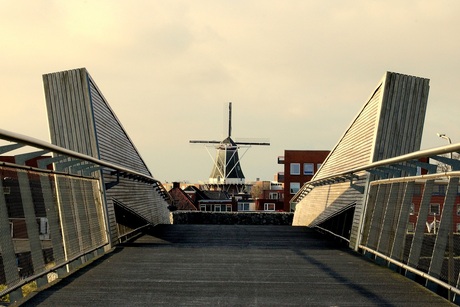 De molen.