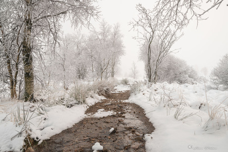 Winterslandschap