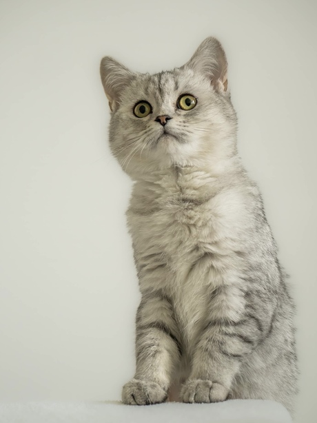 Kleine pootjes , grote liefde 🥰 