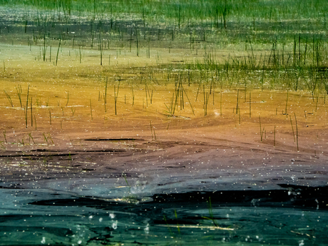 Water met ijzerbacterie