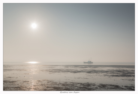 Moody sunrise
