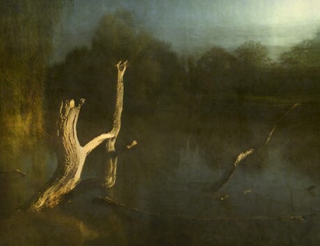 Vijver in het Flevopark