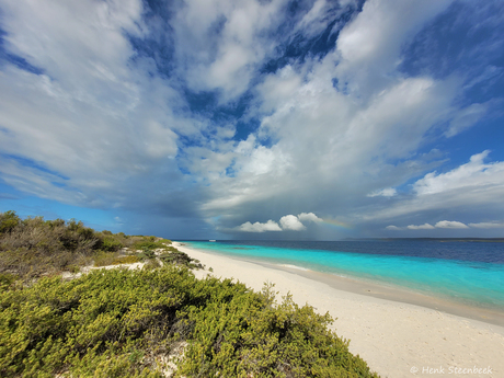 Na regen komt zonneschijn
