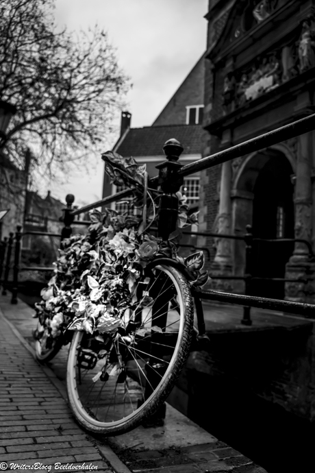 Natuur in de stad? Ga toch fietsen!