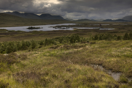Rannoch Moor