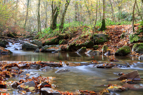 bergriviertje in de herfst