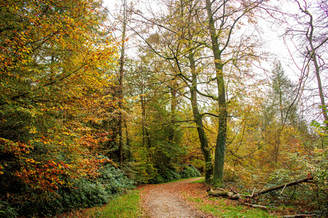  Herfstkleuren