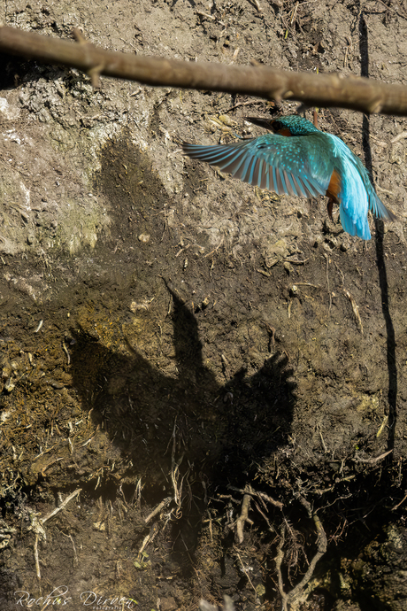 Samen uit, samen thuis