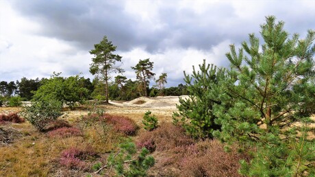 Heimwee in sombere tijden.