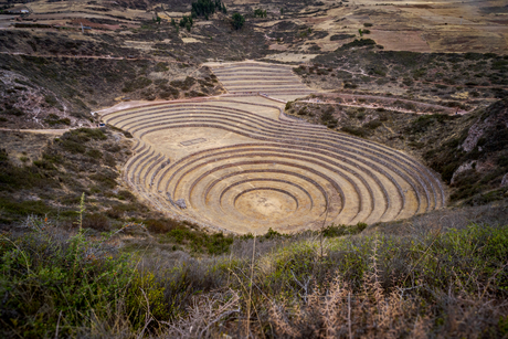 Moray