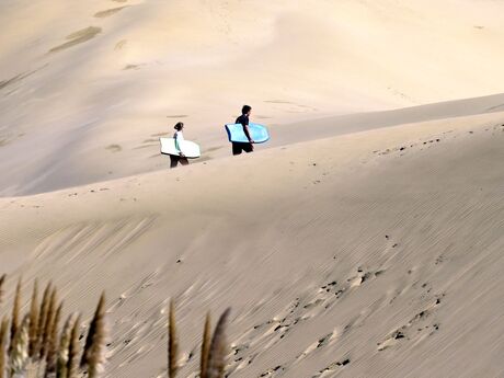 Sanddunes 
