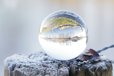 Winterbolspiegeling.