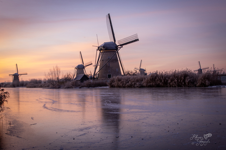 Winter bij Kinderdijk