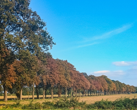 Herfst komt er aan.