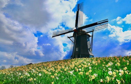 Molen 