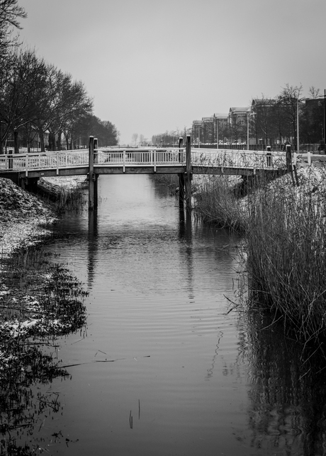 De sneeuw blijft niet liggen