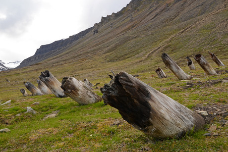 Restanten van de laatste mijnbouw op Spitsbergen