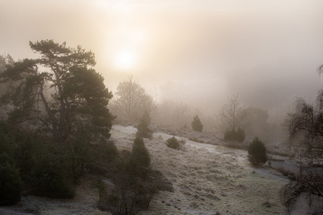 Mistige ochtend