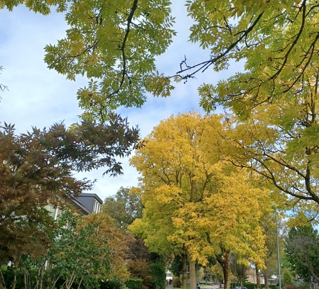 Op een mooie herfstdag 