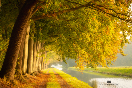 Prachtige herfstfoto van bomen aan het water