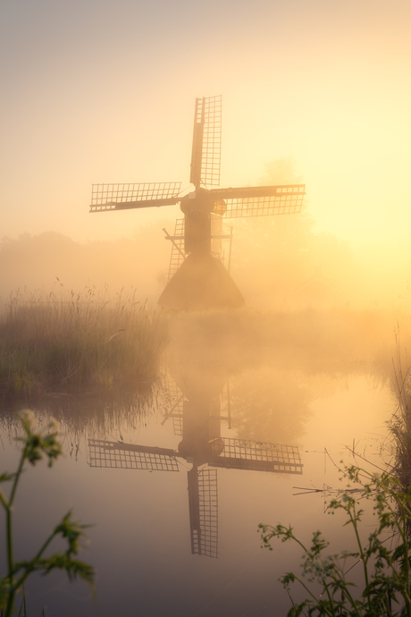 Dromende molen.