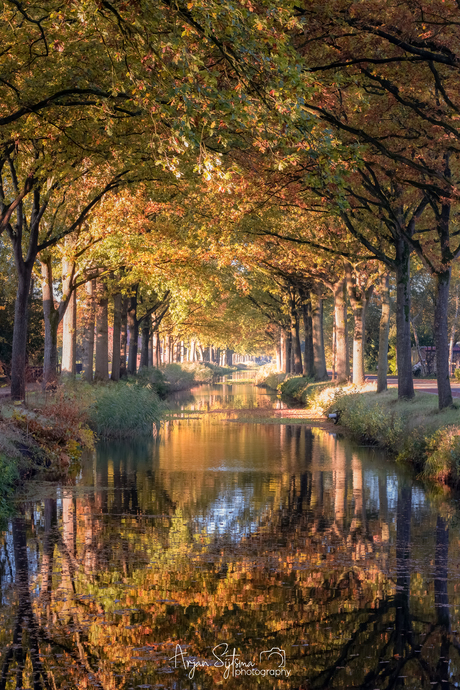 Spiegeltje spiegeltje... 
