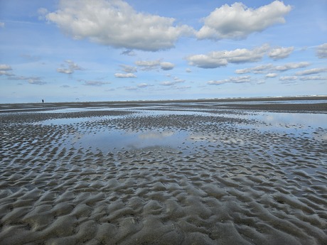 Het wad