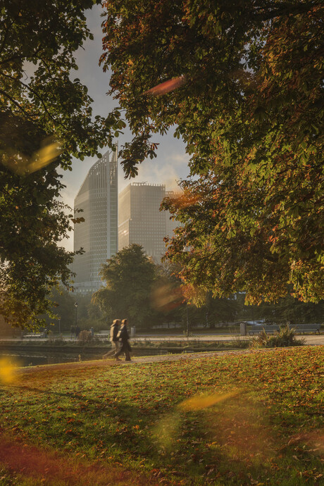 Herfst in Den Haag