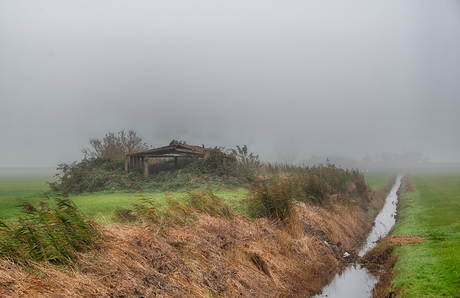 Stilte in de mist