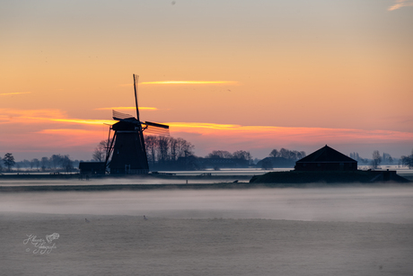Hollandser dan dit wordt het niet