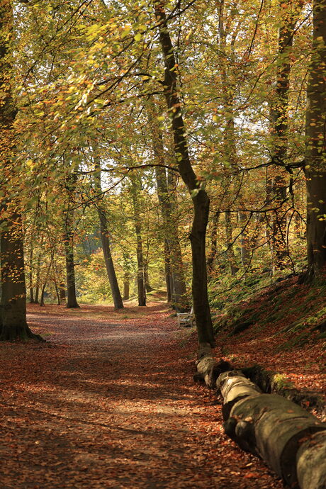 Herfstwandeling