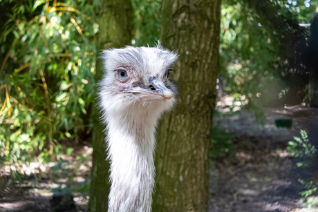 I see you