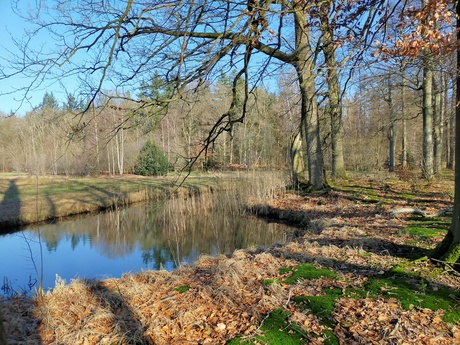 Stralend landschapje..