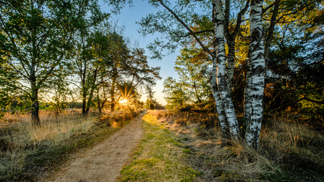Zonsopkomst