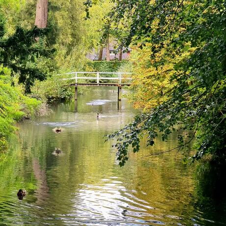 Verborgen stilte in de stad