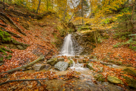 Herfstkleuren bij de waterval van de Hoëgne in de Ardennen België