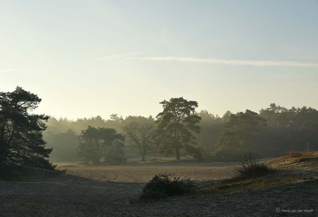 Korte duinen - Soestduinen