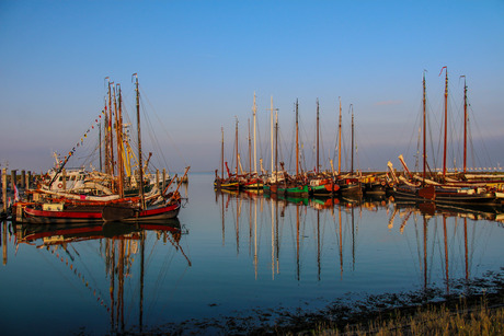 Haven in het zonnetje