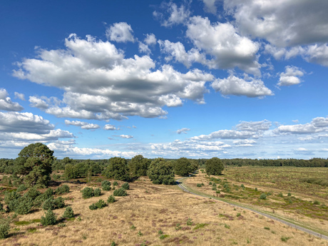 Zicht vanuit de uitkijktoren