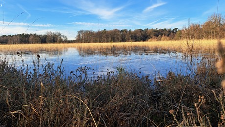 Het Leersumse veld - 28 januari 2024