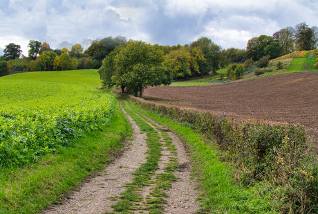 Pad tussen de akkers, Biesland, Maastricht