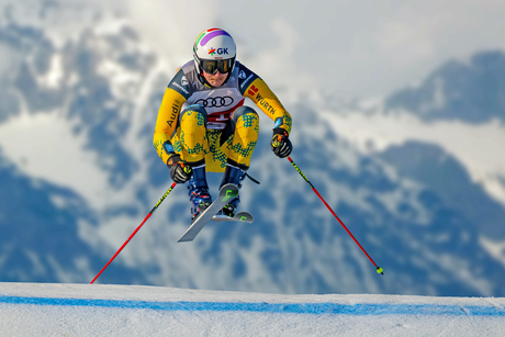 gele skier