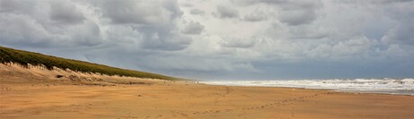 Aan het strand nabij de Amsterdamse waterleidingduinen.