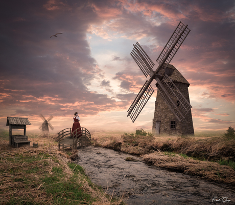 Hollands