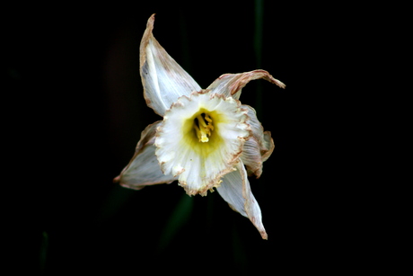 Het loopt ten einde................