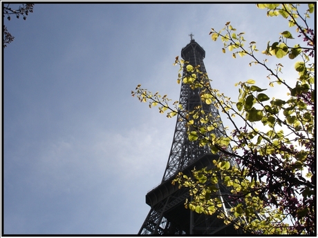 Eifeltoren in 't groen