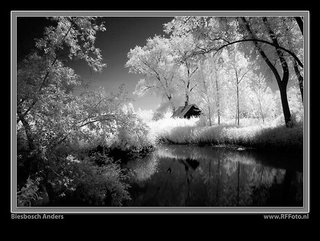 biesbosch anders