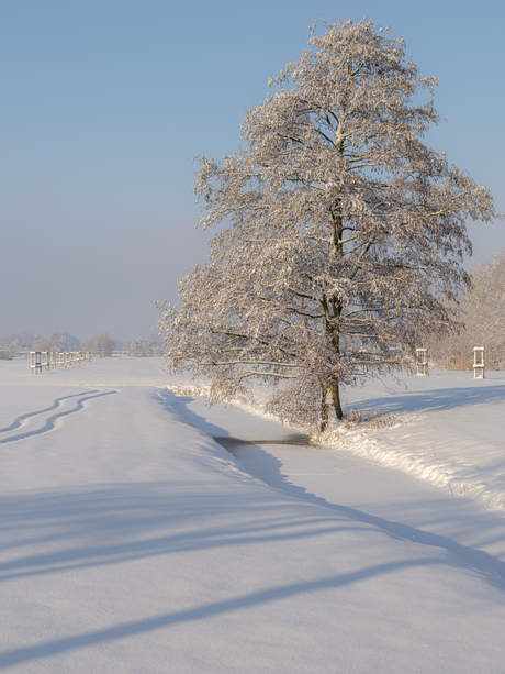 Wintersport taferelen